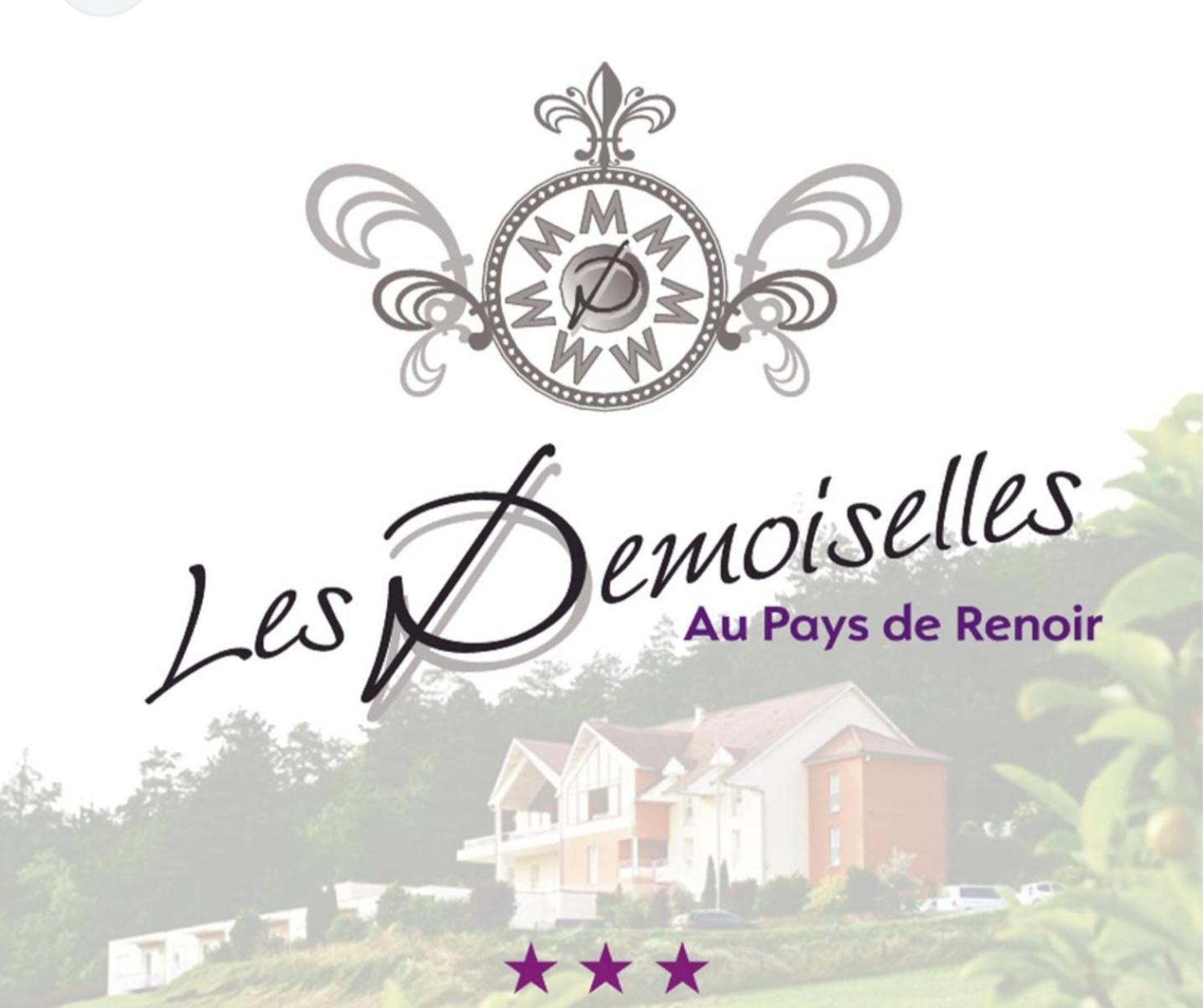 Hotel Les Demoiselles 埃苏瓦 外观 照片